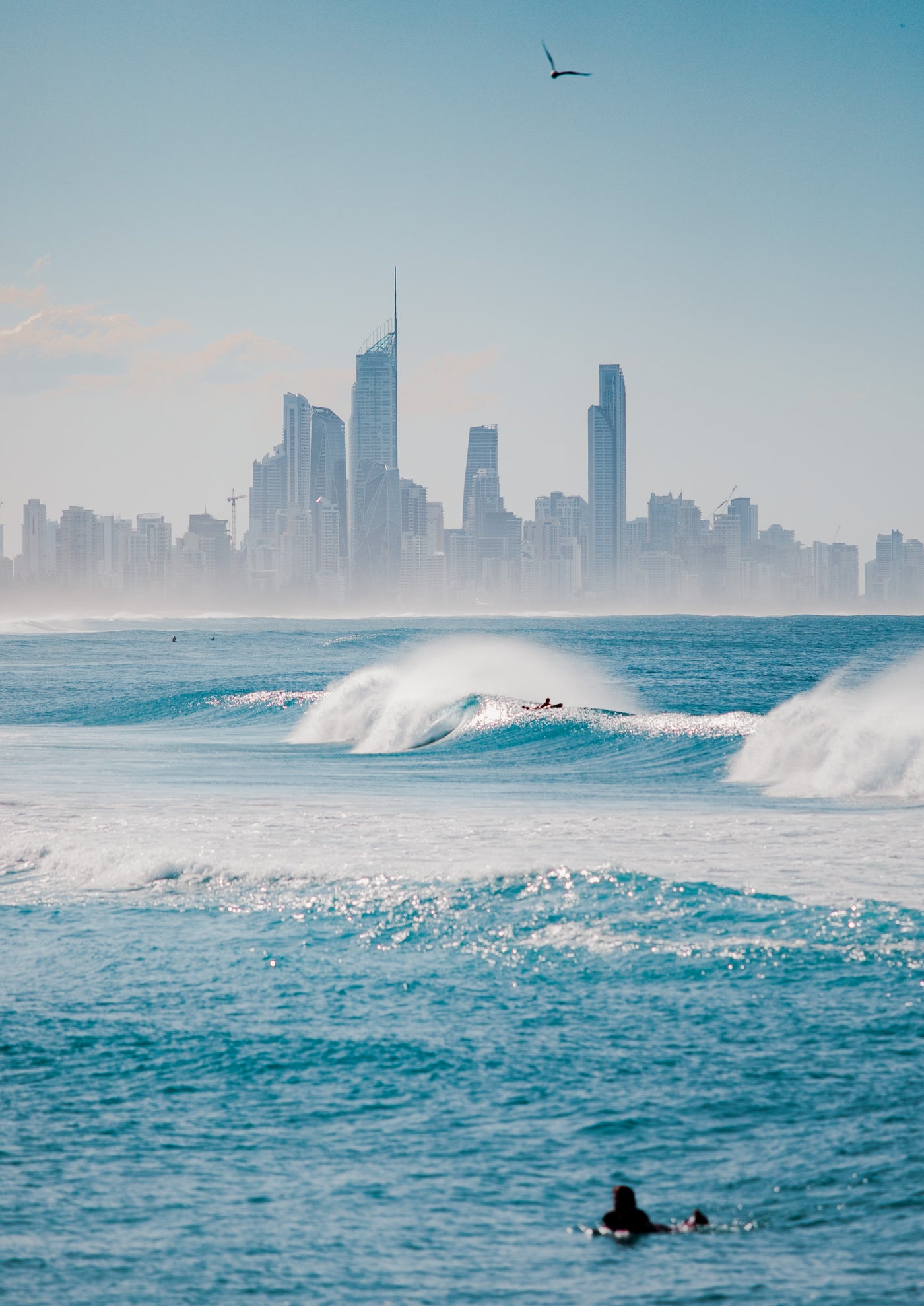 Surf City, Gold Coast